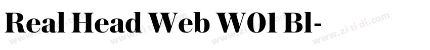 Real Head Web W01 Bl字体转换